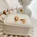 dr479 t01 Aretes