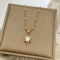 dr489 t01 Collar