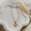 dr491 t01 Collar